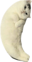 Custom cursor