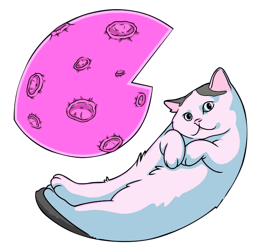 Cat with Coin
