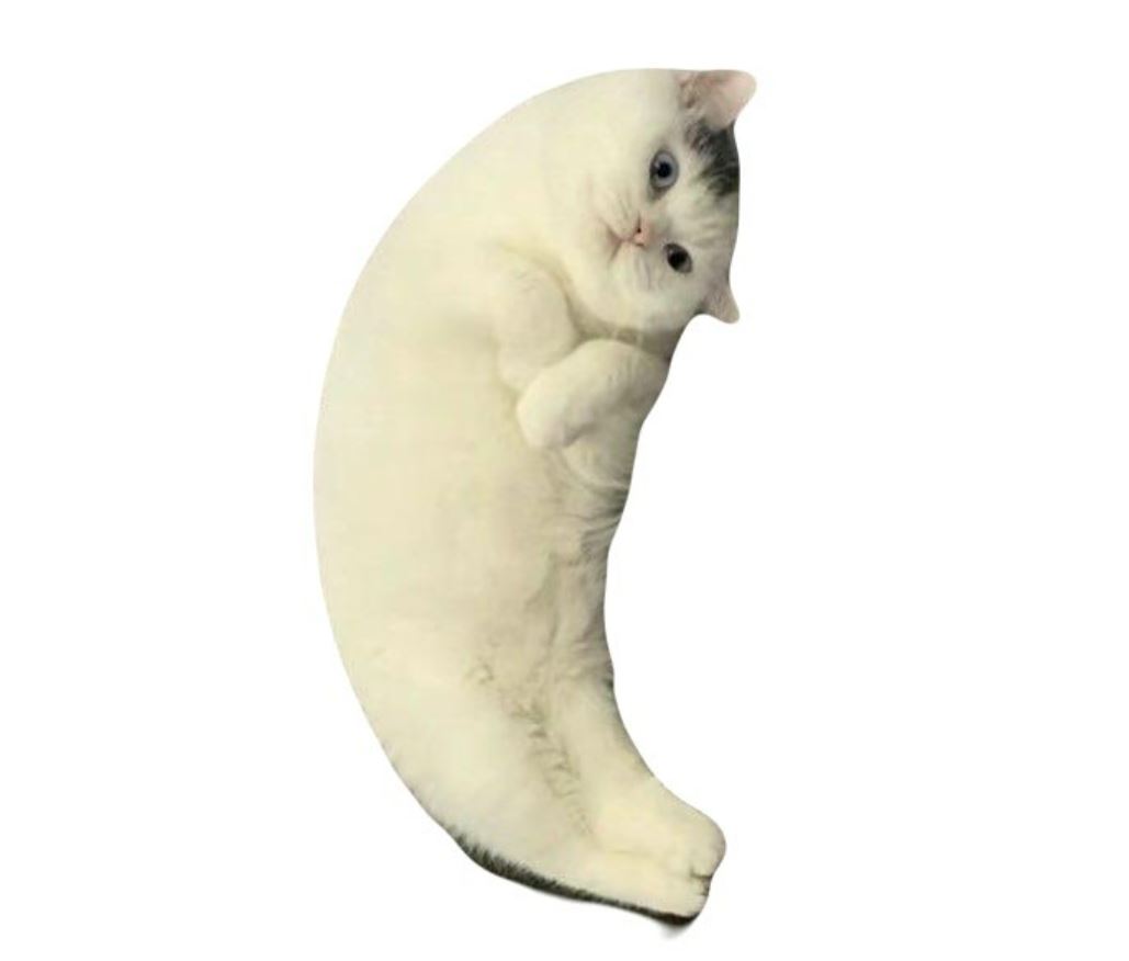 Mooncat for making memes